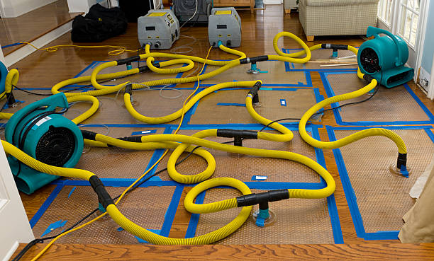 Professional Structural Drying And Dehumidification technician working in Belmont, NC